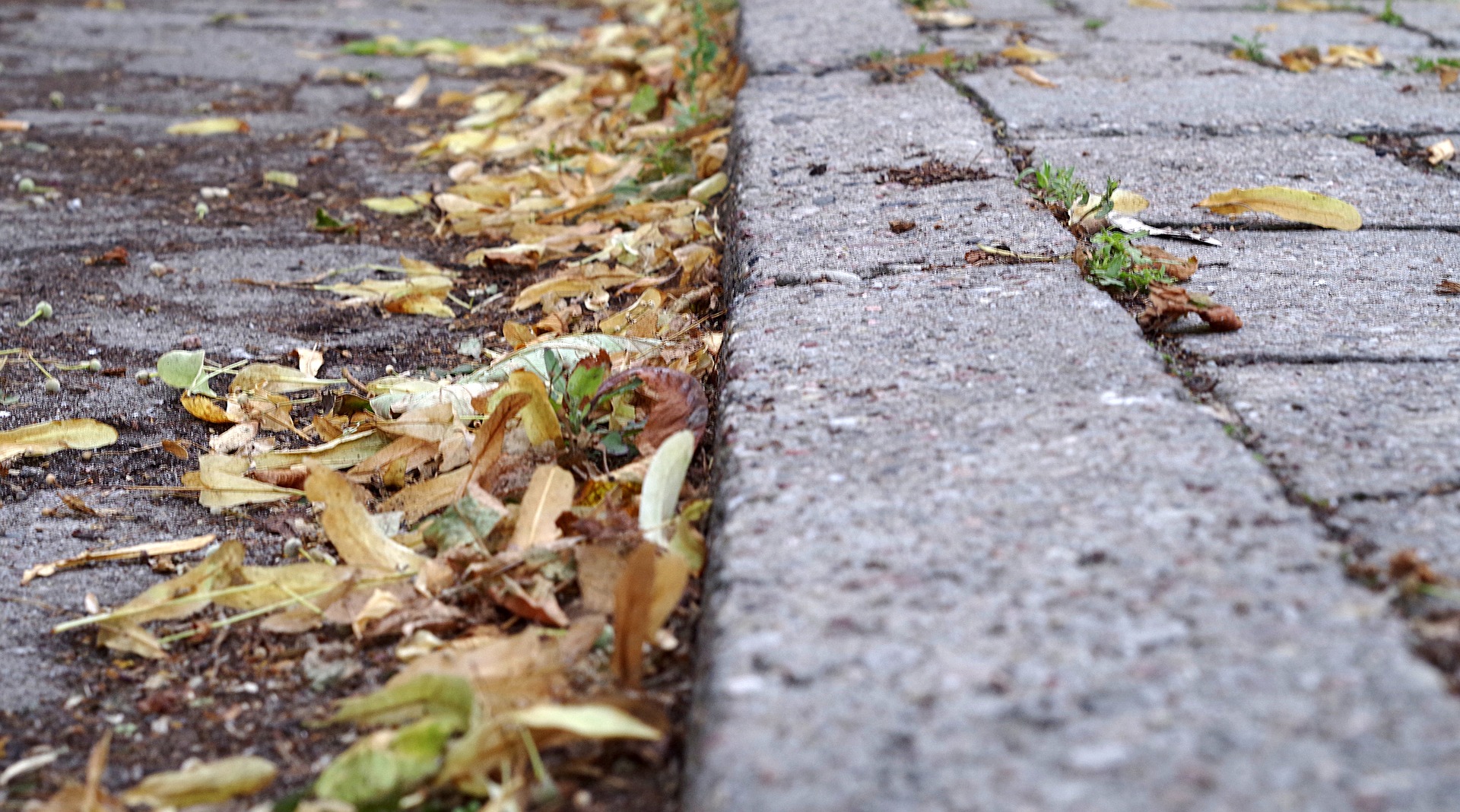 Odszkodowanie za uszkodzenie ciała w wyniku wypadku na drodze lub chodniku